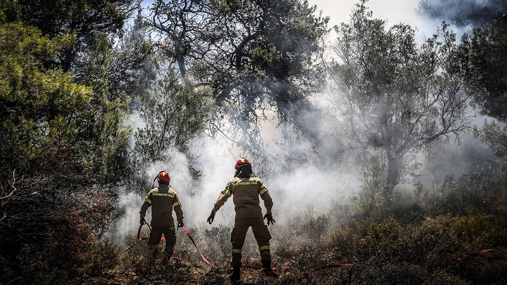Ιωάννινα: Μάχη με τις φλόγες σε δύσβατη περιοχή στη Βωβούσα