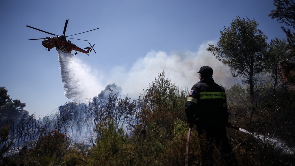 Σουφλί: Υπό έλεγχο η φωτιά που ξέσπασε στα Λάβαρα