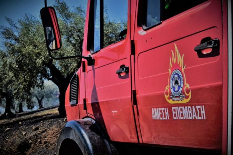Μεσσηνία: Συναγερμός στην πυροσβεστική για φωτιά στο Πανιπέρι – Τέθηκε υπό έλεγχο