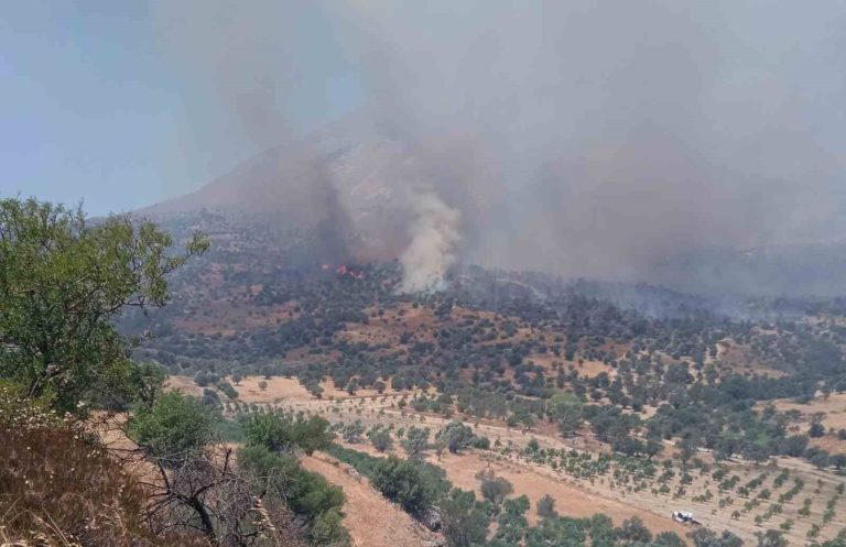 Ρέθυμνο: Νέο μεγάλο μέτωπο φωτιάς στο Ροδάκινο – Εκκενώθηκε το χωριό Κόρακας