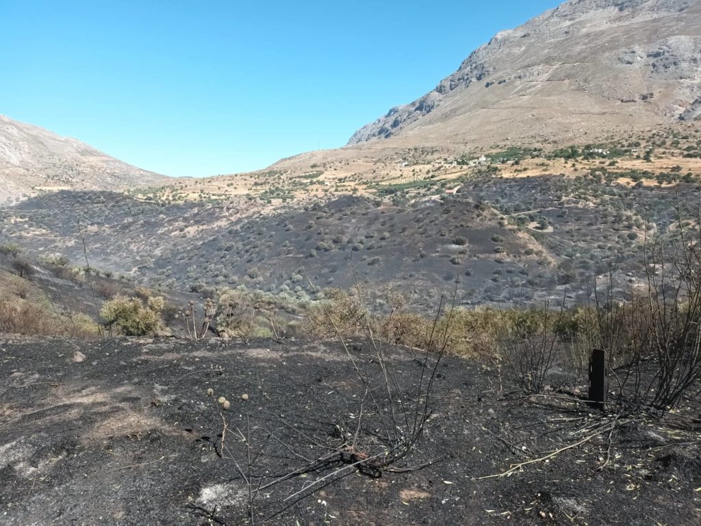 Εικόνες καταστροφής από την πυρκαγιά στον Αγ. Βασίλειο Ρεθύμνου – Αναζωπύρωση σε Μέλαμπες και Αγ. Γαλήνη