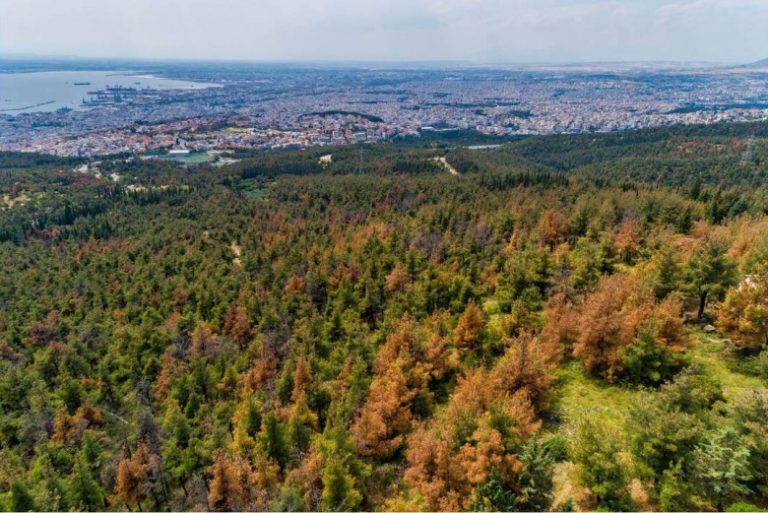 Θεσσαλονίκη: Χρηματοδότηση των δήμων που βρίσκονται στα όρια του Σέιχ Σου ζητάει η ΠΕΔ-ΚΜ