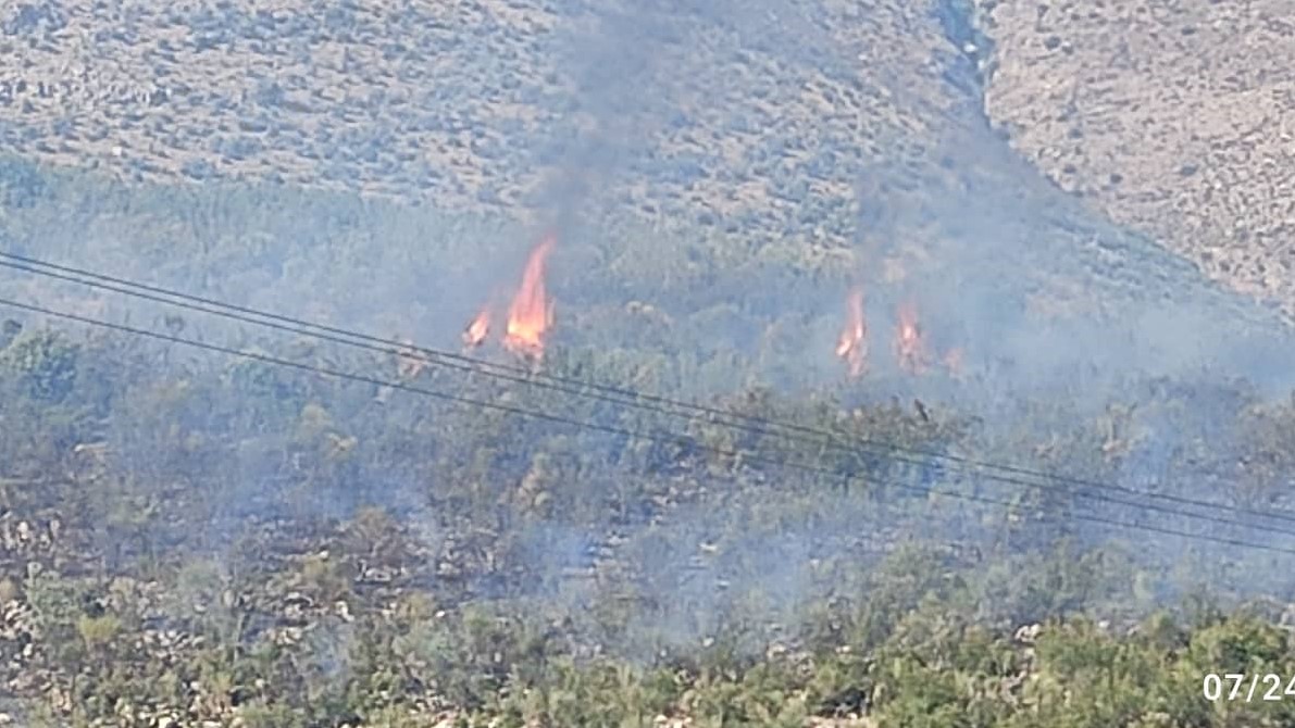 Πυρκαγιά στη Σαγιάδα Θεσπρωτίας (βίντεο)