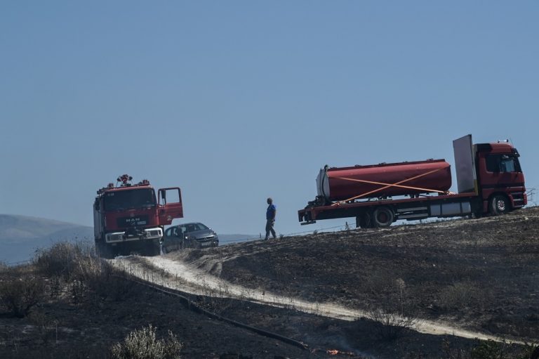 Μαίνεται η πυρκαγιά στο Σχηματάρι – Σε δύο μέτωπα η φωτιά στην Άμφισσα