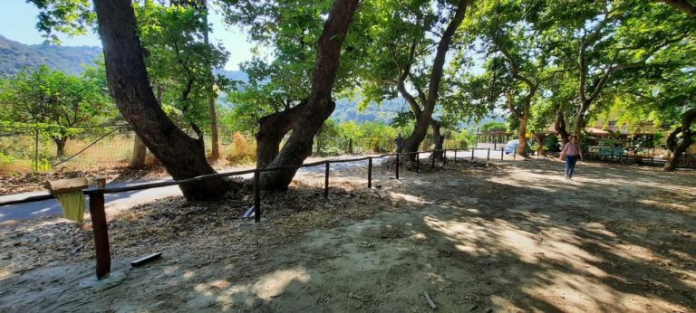 Αποκατάσταση και ανάδειξη του δημοτικού πάρκου Δρακιανών στον Δ. Πλατανιά