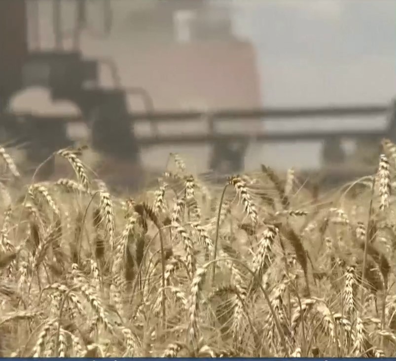 Ουκρανία: Άμεση εκκίνηση εξαγωγών σιτηρών – Επιθέσεις στα ανατολικά, αισιοδοξία για τον Νότο (video)