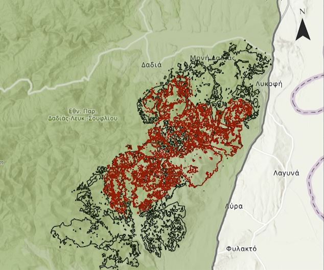 Η καταστροφή στη Δαδιά σε εικόνες – Η καμένη έκταση έχει ξεπεράσει τα 40.000 στρέμματα λέει ειδικός στην ΕΡΤ (video)