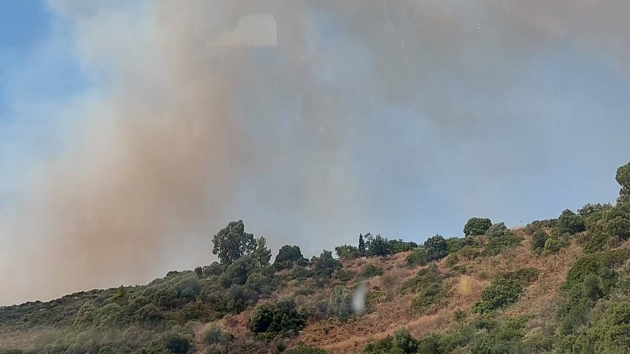 Πυρκαγιά στο δήμο Μενήιδος Πέλλας – Ισχυρή πυροσβεστική δύναμη για την κατάσβεσή της