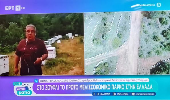 Ακόμη πιο επιτακτική η ανάγκη για το Μελισσοκομικό Πάρκο στα όρια του δάσους της Δαδιάς,