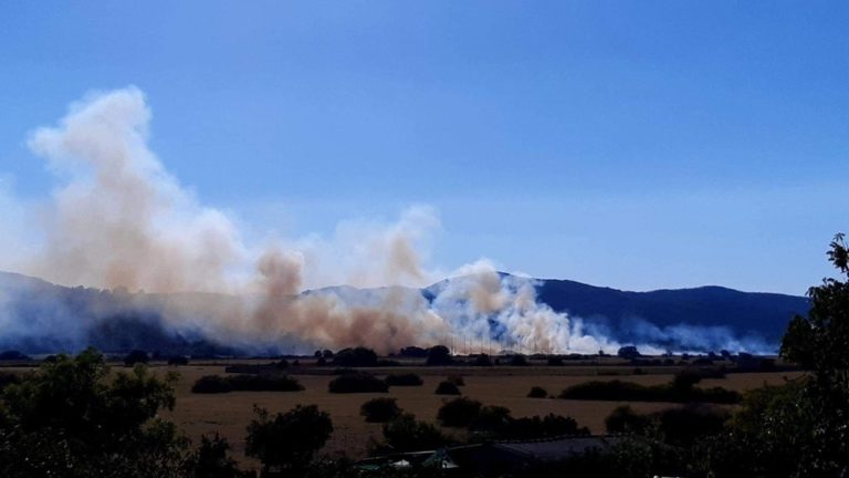 Κέρκυρα: Κάηκαν 20 στρέμματα στο λιβάδι Ρόπα (VIDEO)