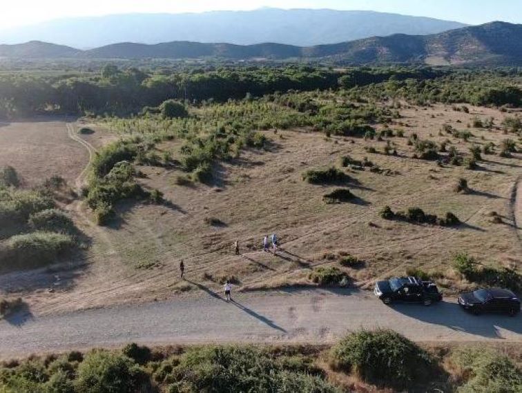 Β. Κόκκαλης: “Όχι” στην εκχώρηση δημοσίων βοσκοτόπων για φωτοβολταϊκά σε Αγιά και Ελασσόνα