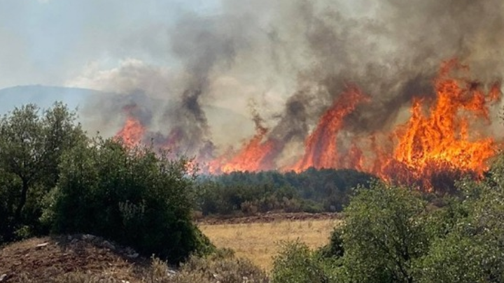 Άγιον Όρος: Οριοθετήθηκε η πυρκαγιά-24 πυροσβέστες με 10 οχήματα στο σημείο