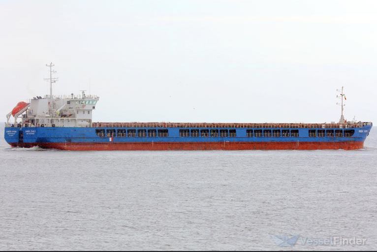 Ρωσικό πλοίο που μεταφέρει σιτηρά απέπλευσε από τουρκικό λιμάνι