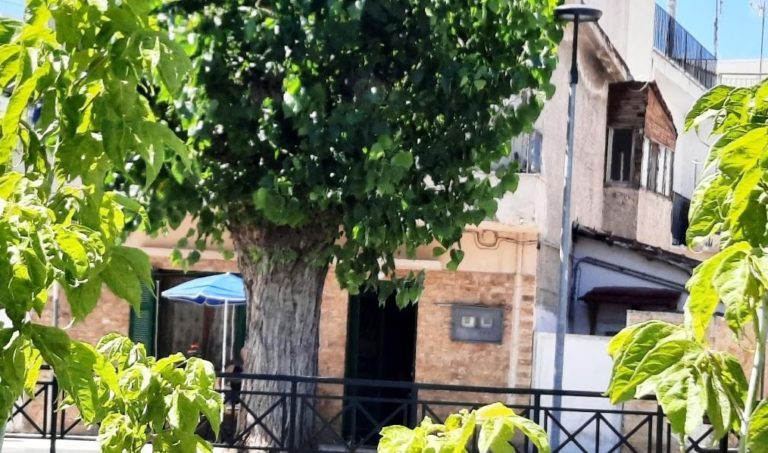 Βόλος: Σφραγίστηκε παλιό διώροφο σπίτι στην Καραμπατζάκη – Κίνδυνο για την δημόσια υγεία κατήγγειλαν οι περίοικοι