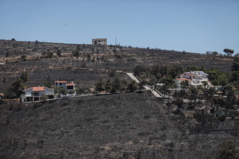 Θ. Γιάνναρος, πυρομετεωρολόγος: Πυρκαγιά καθοδηγούμενη από τον άνεμο, αυτή της Πεντέλης – Κάηκαν πάνω από 20 χιλ. στρέμματα