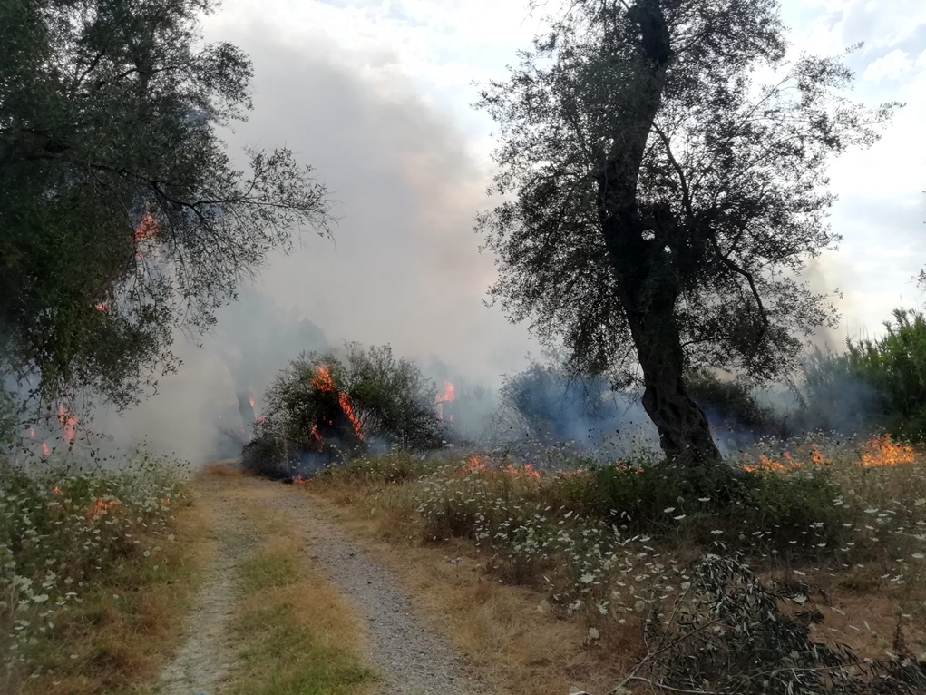 Υπό έλεγχο η φωτιά στη νότια Κέρκυρα