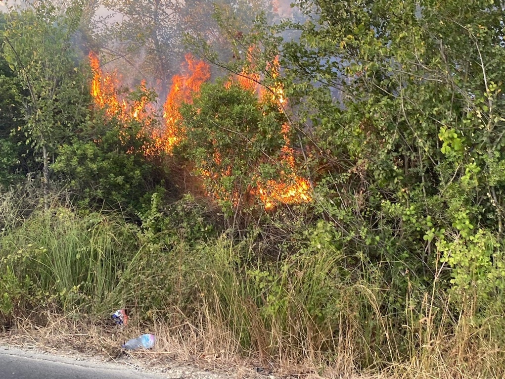 Ρόδος: Φωτιά στην περιοχή της Κρητηνίας