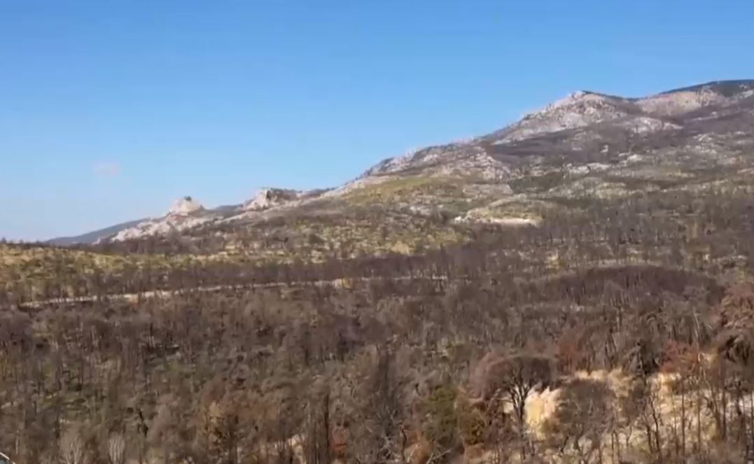 Βαρυμπόμπη, ένας χρόνος μετά: Δεν έχουμε τελειώσει με τη φωτιά, καταγγέλλει ο κοινοτάρχης Αφιδνών – Εικόνες από drone της ΕΡΤ (video)