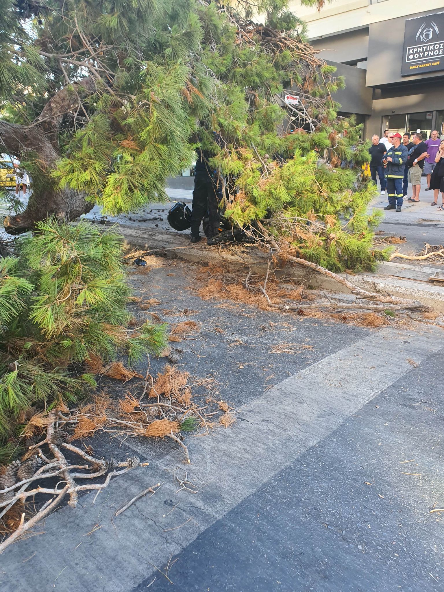 Ηράκλειο: Εισαγγελική παρέμβαση για τον θάνατο δικυκλιστή από πτώση δέντρου – Νομικά θα προσφύγει η οικογένεια