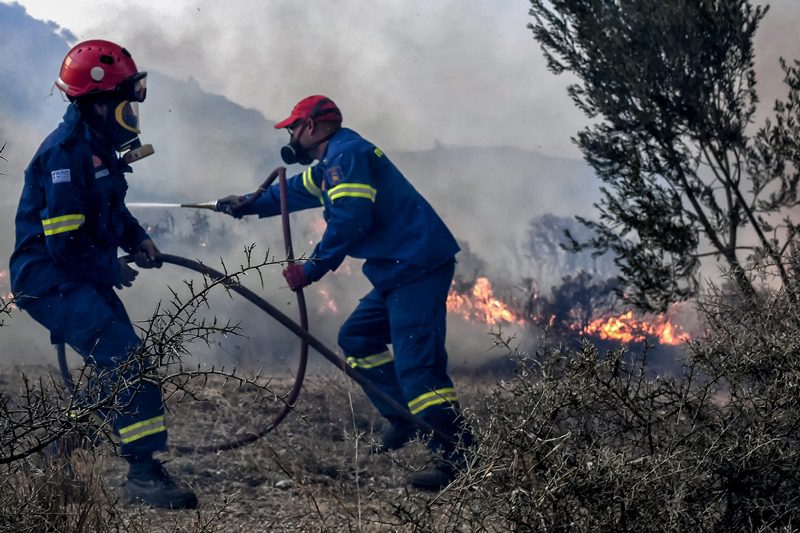 Πυροσβέστες εντόπισαν αρχαιολογικά ευρήματα μετά την φωτιά στα Λεχαινά