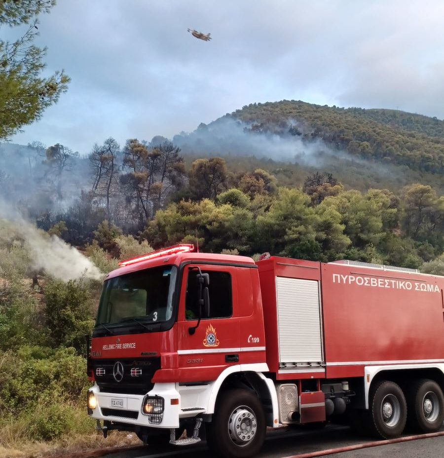 Αργολίδα: Οριοθετήθηκε η φωτιά στον Αχλαδόκαμπο