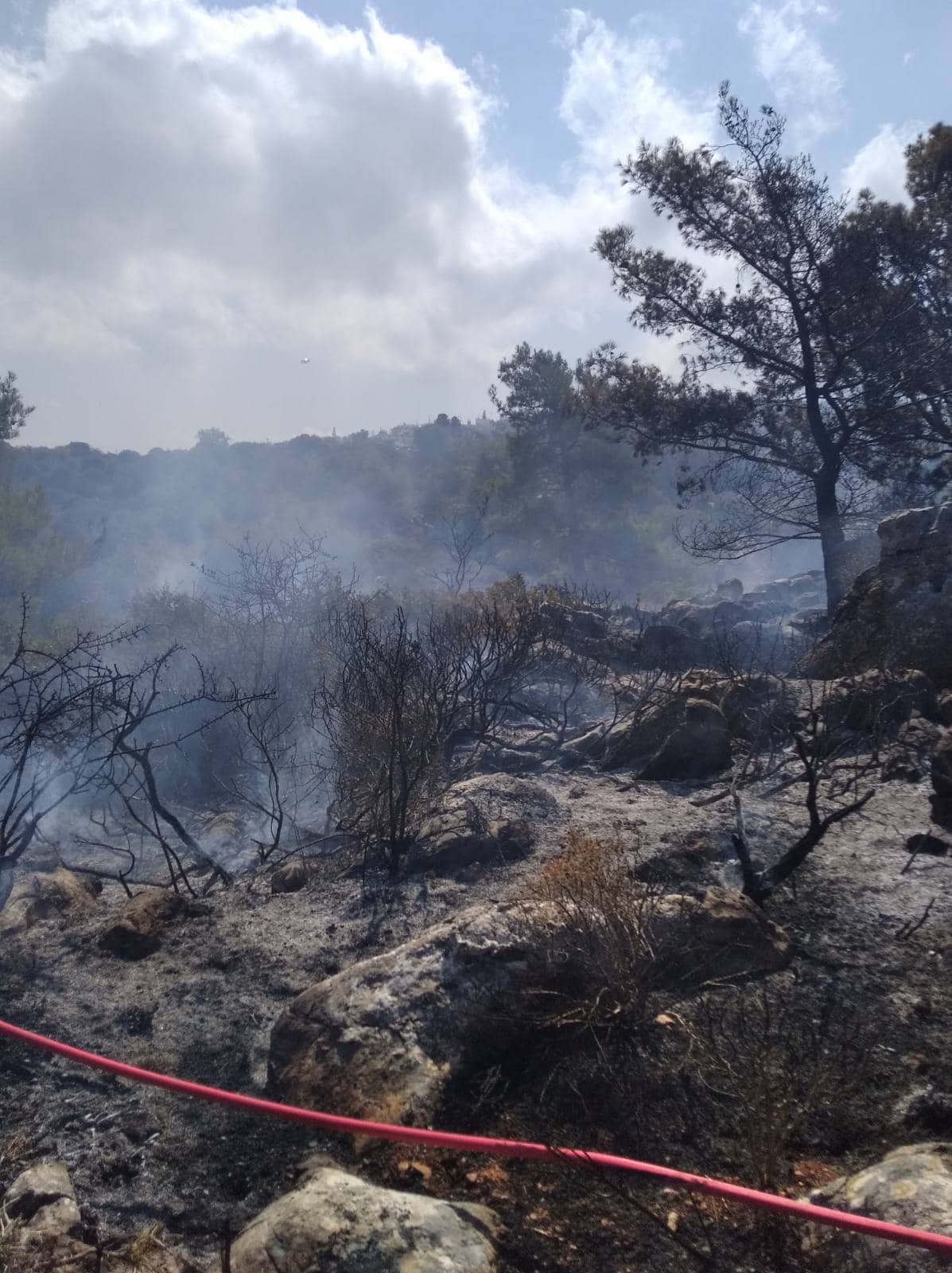 Βόλος: Οριοθετήθηκε η πυρκαγιά στο Σέσκλο