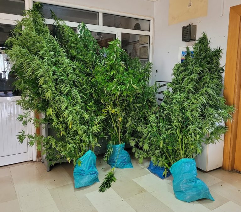 Σύλληψη για ναρκωτικά και οπλοκατοχή