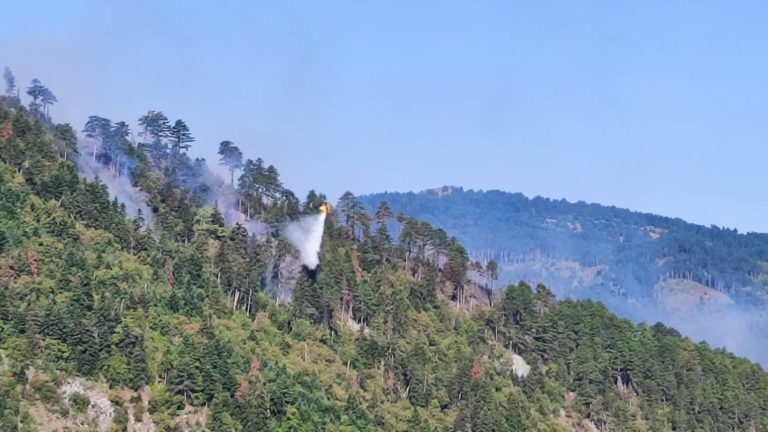 Βελτιωμένη η εικόνα της φωτιάς στο Άγιο Όρος, μαίνεται στην Κόνιτσα Ιωαννίνων – Πολύ υψηλός κίνδυνος πυρκαγιάς