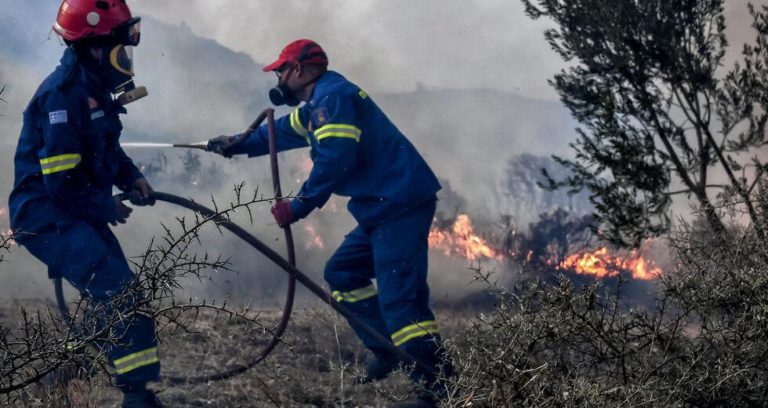 Αυλώνα Ωρωπού: Οριοθετήθηκε η πυρκαγιά στη δασική έκταση