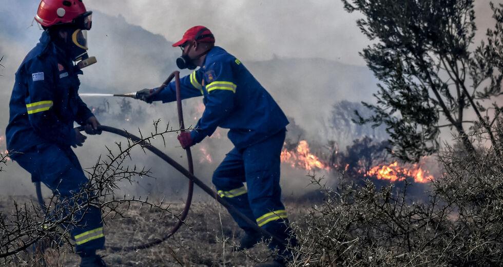 Πυρκαγιά στον Αυλώνα Αττικής – Συναγερμός στην Πυροσβεστική