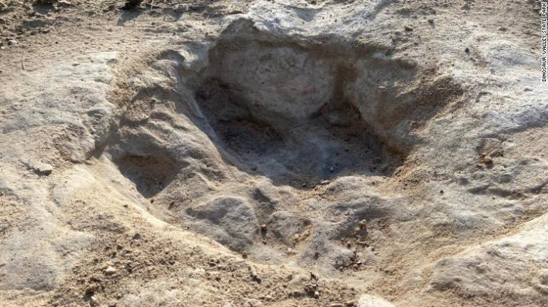 Ίχνη δεινοσαύρων αποκάλυψε η ξηρασία στην κοίτη ποταμού στο Τέξας