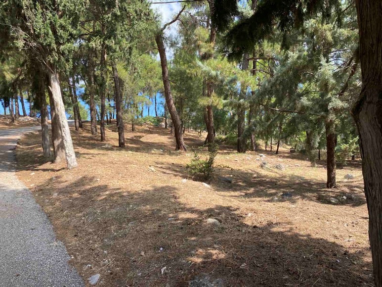 Δήμος Σερρών: Σε εξέλιξη το έργο αντιπυρικής προστασίας στα δάση Σερρών και Μαρμαρά