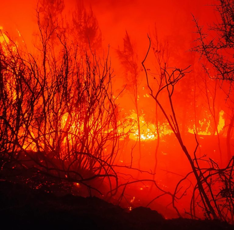 Σε εξέλιξη πυρκαγιά στην Ανάληψη Αμαλιάδας – Επιχειρούν ισχυρές επίγειες δυνάμεις