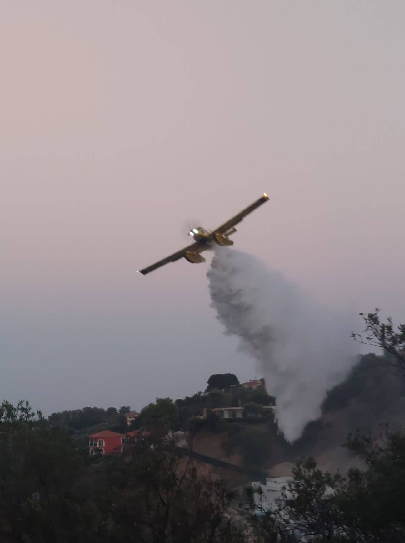 Ζάκυνθος: Φωτιά στον Βασιλικό – Σωτήρια η άμεση επέμβαση των μέσων (video)