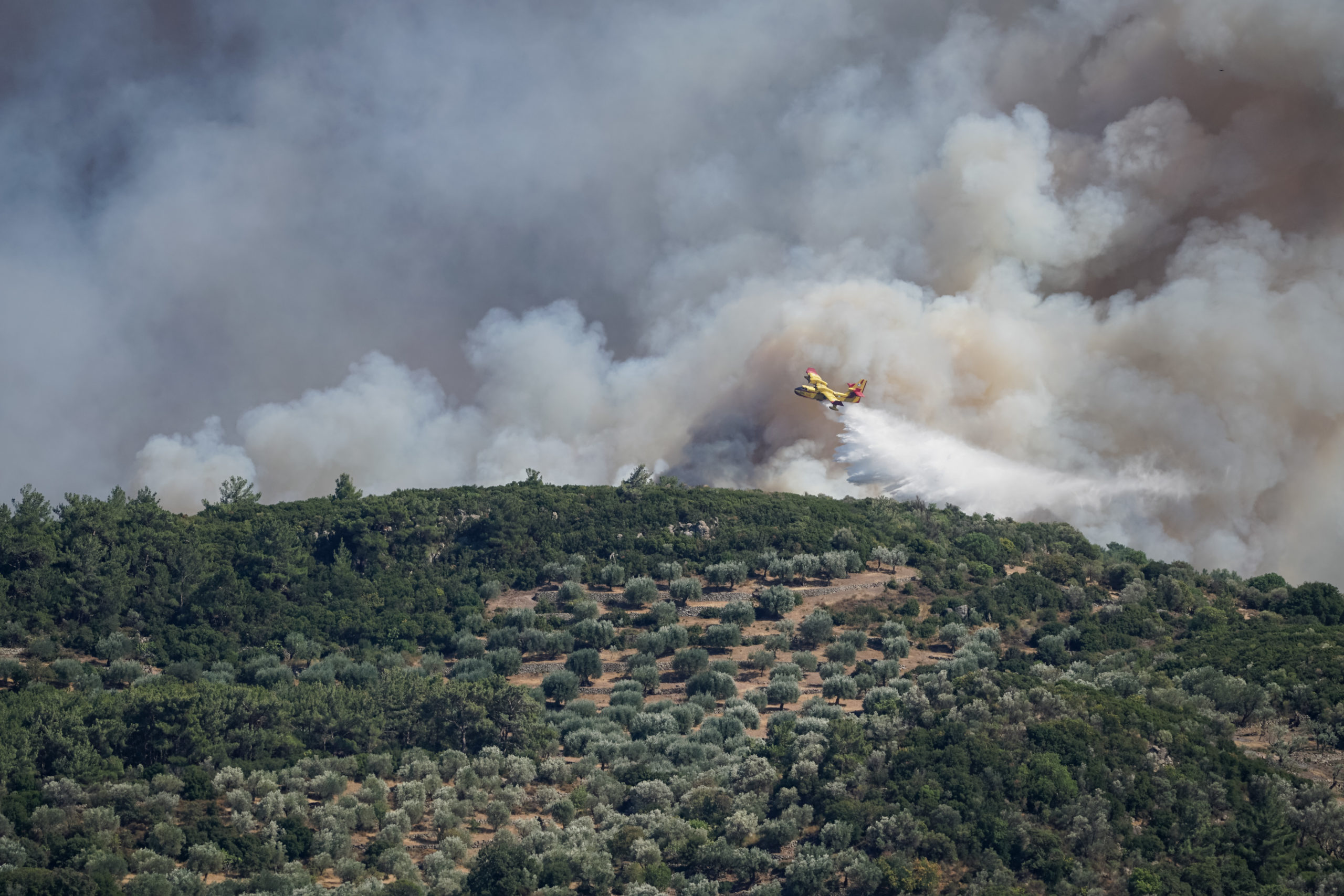 Τα τελευταία 20 χρόνια διπλασιάστηκε η επιφάνεια των δασών που καταστρέφονται από τις πυρκαγιές