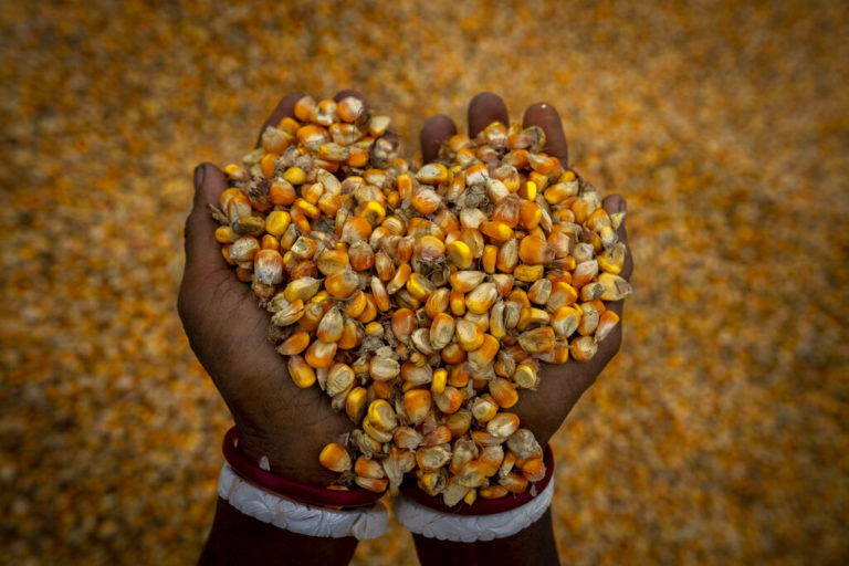 Κλιματική κρίση: Απειλείται το ένα τρίτο των τροφών που καταναλώνουμε