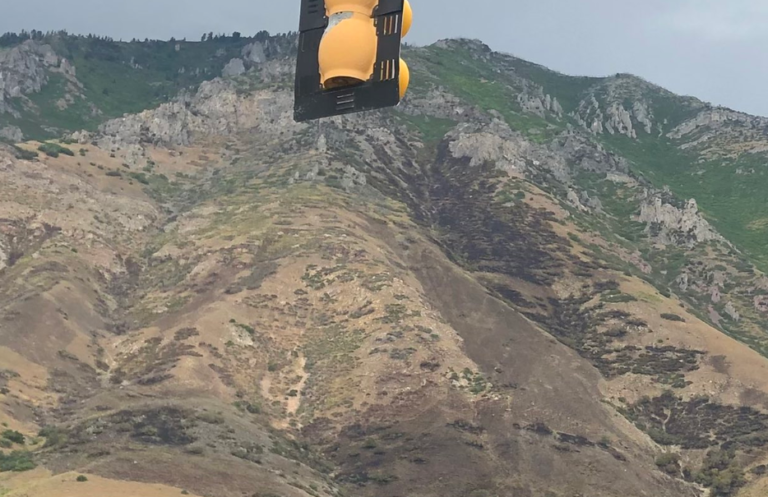 ΗΠΑ: Προσπάθησε να κάψει μια αράχνη και προκάλεσε δασική πυρκαγιά