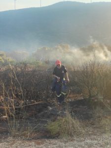 Μεσσηνία: Υπό έλεγχο η φωτιά στο Μεσοχώρι Πυλίας (φωτογραφίες)