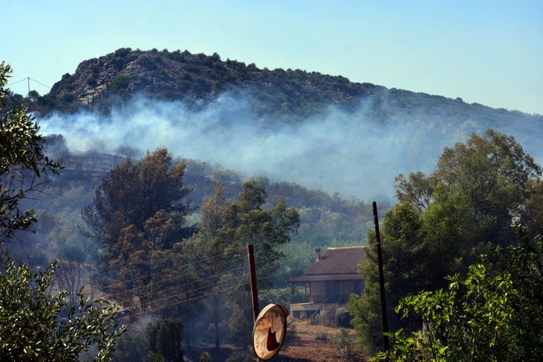 Πυροσβεστική: 51 δασικές πυρκαγιές το τελευταίο 24ωρο