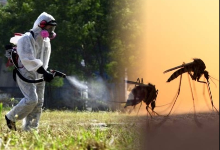 Δήμος Πυλαίας Χορτιάτη: Προληπτικές δράσεις κατά των κουνουπιών