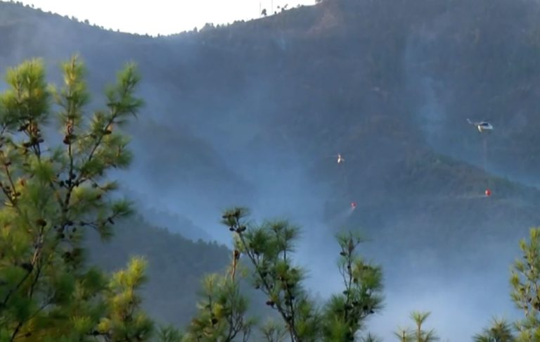 Καβάλα: Σύλληψη 65χρονου για τη φωτιά στη Θάσο