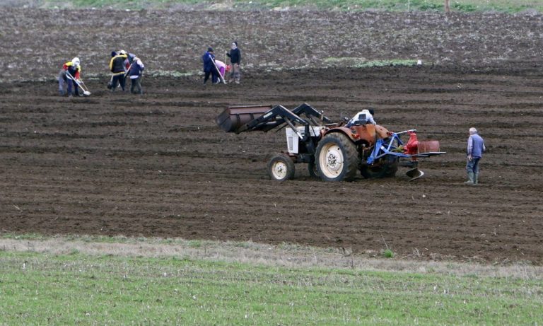 Ήπειρος: Οξύτατο πρόβλημα από την έλλειψη εργατών γης