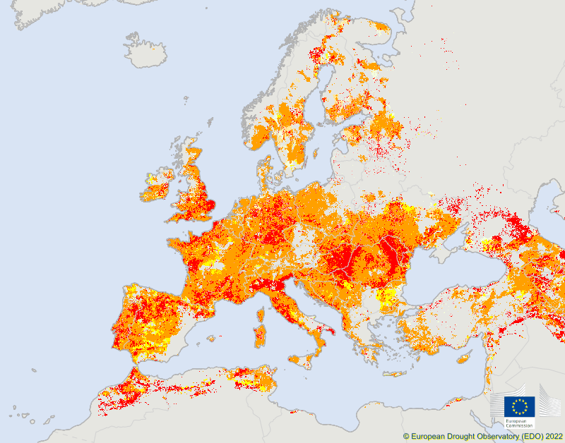 Νέα δεινά στην Ευρώπη από την ξηρασία – Περιβαλλοντικός συναγερμός σε ΕΕ και ΗΒ