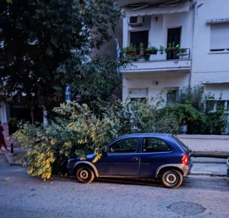 Κακοκαιρία στις Σέρρες: Έντονη βροχόπτωση – Πτώσεις δέντρων