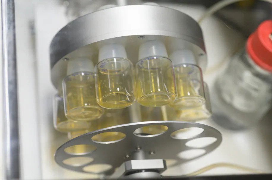 Ισραηλινοί επιστήμονες βρίσκονται κοντά στην ανακάλυψη του τρόπου με τον οποίο θα μπορούν να δημιουργούν ανθρώπινα όργανα από βλαστοκύτταρα