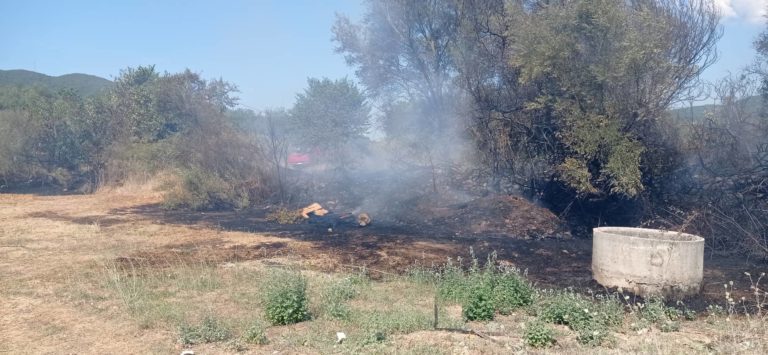 Άμεσα αντιμετωπίστηκε η πυρκαγιά σε αγροτική έκταση στην Ελαία Φιλιατών