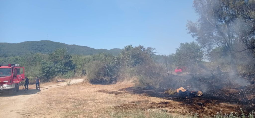 Φθιώτιδα: Οριοθετήθηκε η πυρκαγιά στην περιοχή Συκά Υπάτης