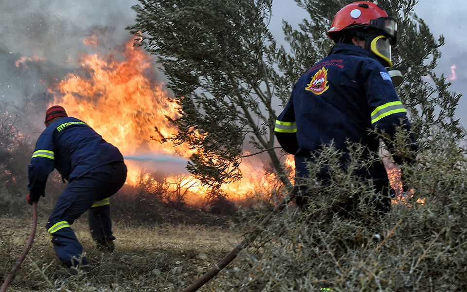 Μeteo.gr: Προσοχή στα «δασικά καύσιμα» όσο ανεβαίνει η θερμοκρασία