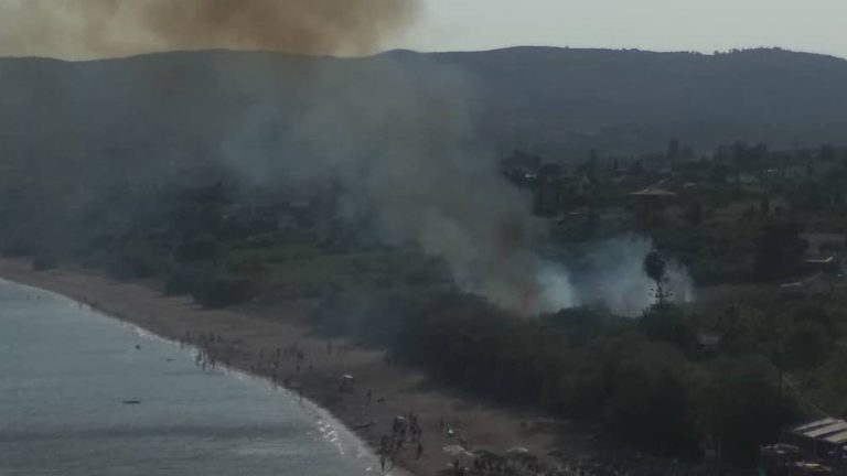 Μεσσηνία: Φωτιά στην παραλία Ζάγκα στην Κορώνη – Οριοθετήθηκε άμεσα (Βίντεο)
