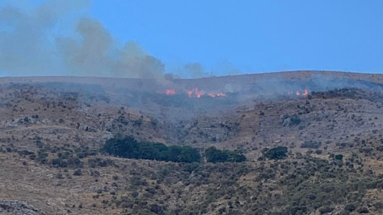 Θεσπρωτία: Υπό μερικό έλεγχο η φωτιά στη Σαγιάδα